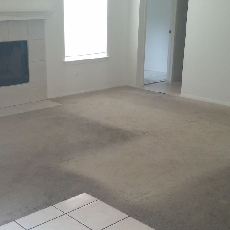 A recent carpet cleaning job in the area